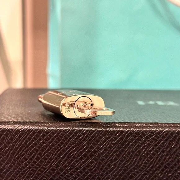 Louis Vuitton Silver Lock and Key 319 - Picture 7 of 9